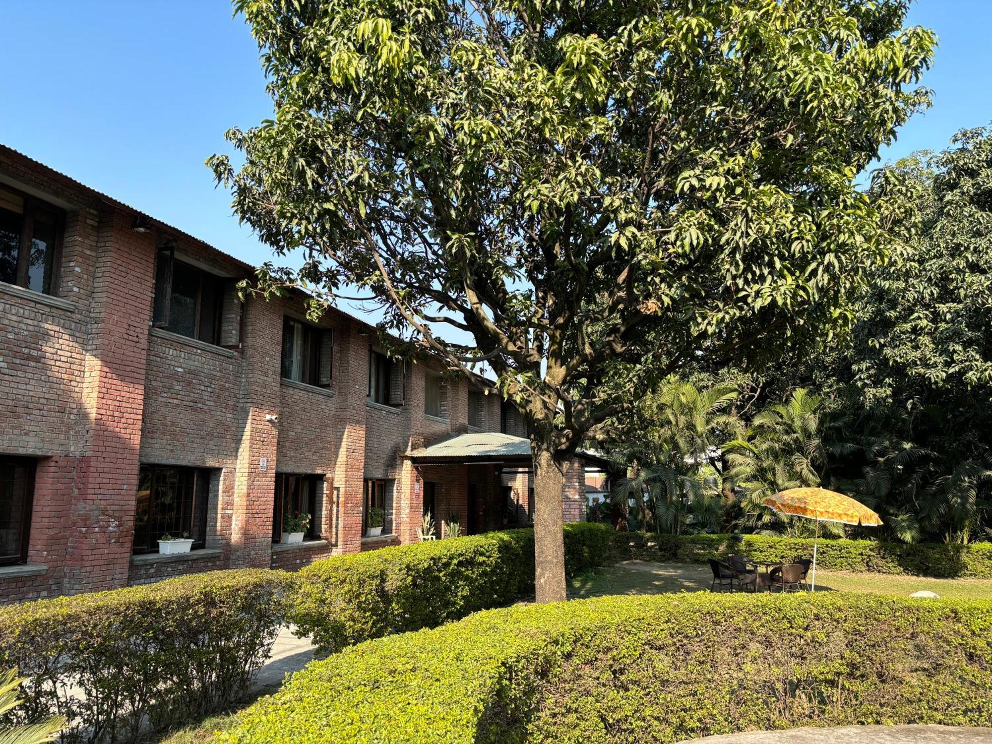 The Cocoon Bed & Breakfast Dehradun Eksteriør bilde