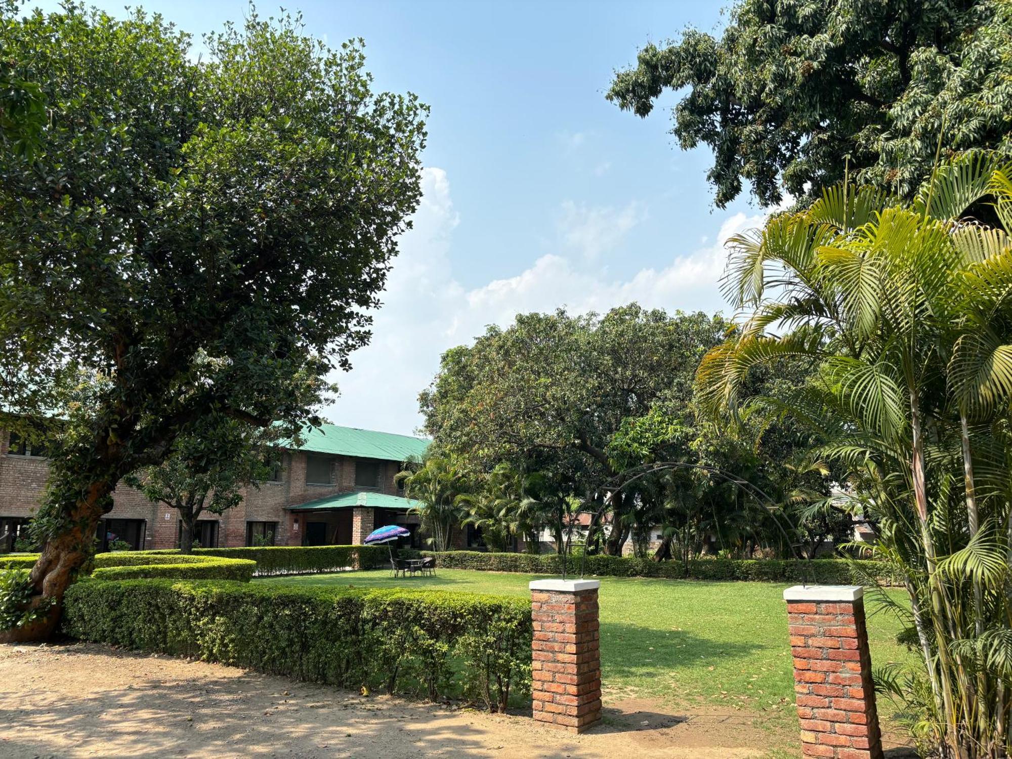 The Cocoon Bed & Breakfast Dehradun Eksteriør bilde